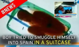 边境偷渡最新爆料视频,揭秘非法跨境活动内幕