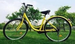 天津自行车爆料最新消息,揭秘技术创新与市场趋势