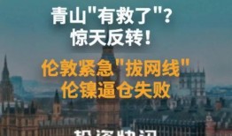 青山最新爆料新闻事件,最新爆料事件背后的真相与内幕