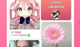 最新神话炫彩爆料视频下载,探寻神秘视频背后的奇幻世界