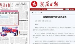 安康头条最新爆料,揭秘重大事件背后真相