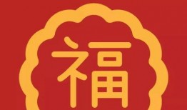 福宝最新事情爆料视频大全,视频大全揭秘幕后真相