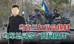 俄乌战争的最新爆料视频,揭秘战场真实情况与冲突升级背后真相