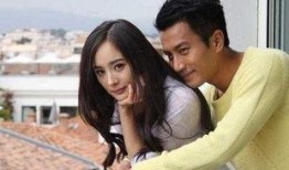 杨幂卓伟最新爆料,揭秘娱乐圈惊人内幕