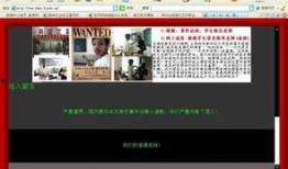 陈老师最新爆料视频网页