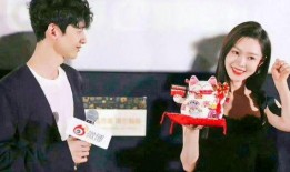 刘大锤最新爆料于适,适的最新动态与幕后故事