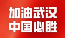 青山最新爆料新闻事件,最新爆料事件背后的真相与内幕
