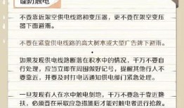 最新台风爆料视频播放网站,实时追踪，权威解读