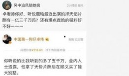 卓伟最新爆料达人图片视频,达人图片视频曝光，真相揭秘！