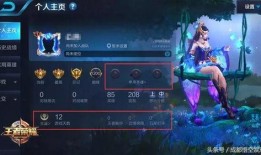 怎么找王者最新爆料,王者最新爆料，探寻游戏更新动向