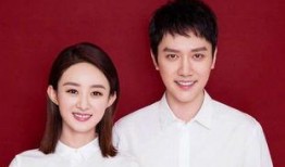 赵丽颖婚姻爆料新闻最新,独家爆料揭示明星夫妻背后的故事