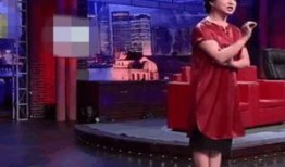 金星爆料酒店视频大全最新,酒店视频大全揭秘娱乐圈不为人知的一面