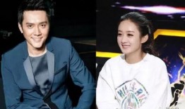 赵丽颖婚姻爆料新闻最新,独家爆料揭示明星夫妻背后的故事