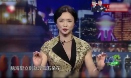 金星爆料酒店视频大全最新,酒店视频大全揭秘娱乐圈不为人知的一面