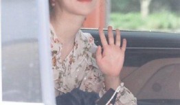 杨紫金晨最新爆料