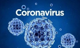 新冠病毒最新疫情爆料