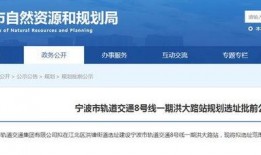 宁波新公司爆料信息最新,创新项目引领行业新风向