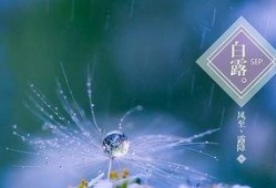 白露模型最新爆料,揭秘未来科技发展趋势