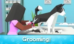 钻石宠物最新爆料下载,揭秘神秘新品，引领宠物市场新潮流