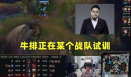 最新战队爆料视频播放在线观看,精彩瞬间在线观看，揭秘战队神秘面纱