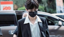 成毅最新消息爆料,揭秘明星背后的故事与成长历程