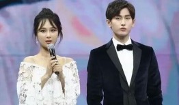 成毅最新消息爆料,揭秘明星背后的故事与成长历程